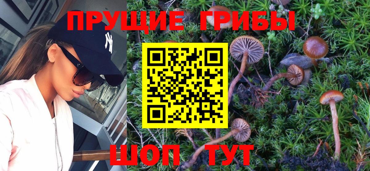 Вышний Волочёк  Галлюциногенные грибы прущие грибы  Вход с VPN 