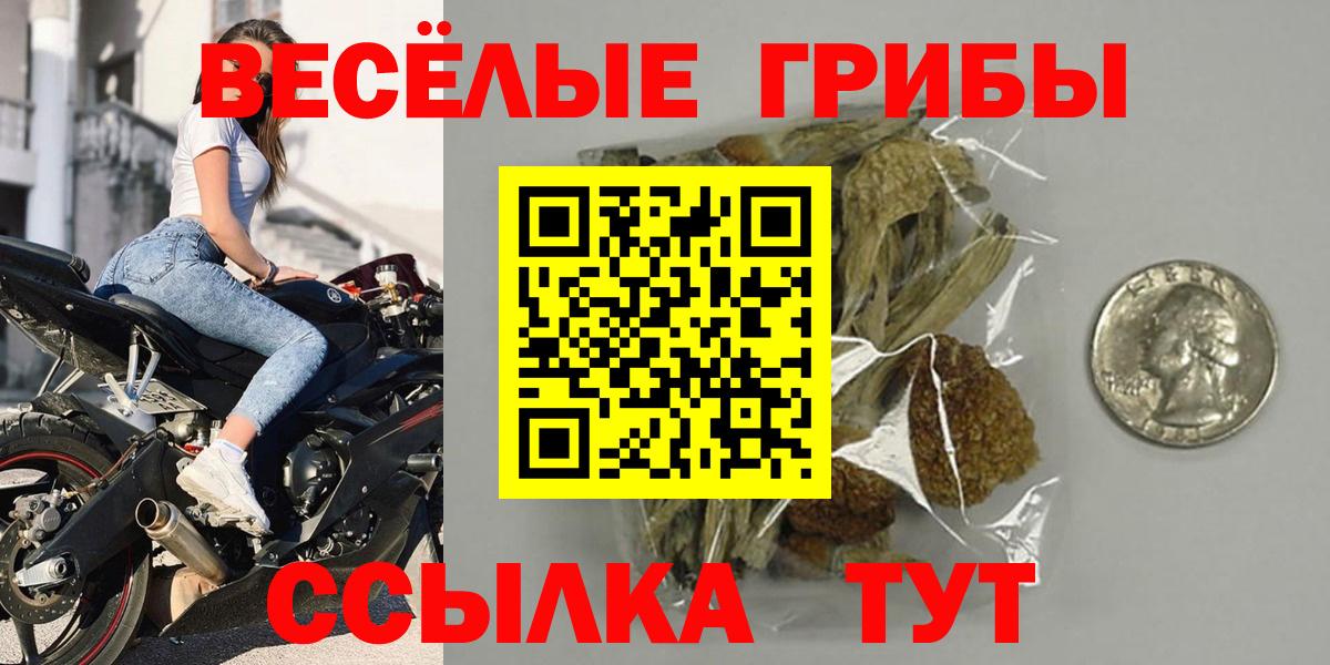 Галлюциногенные грибы ЛСД Вышний Волочёк